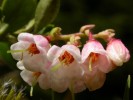 20050505 150850_1.jpg